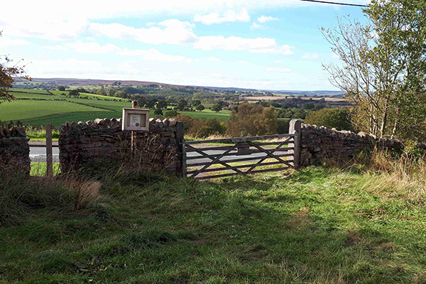 Wooden Field Gate
