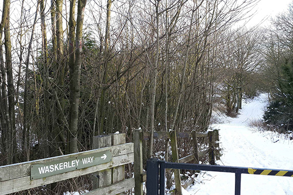 Picture of Waskerley Way sign in the snow