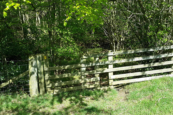 Picture of a fence